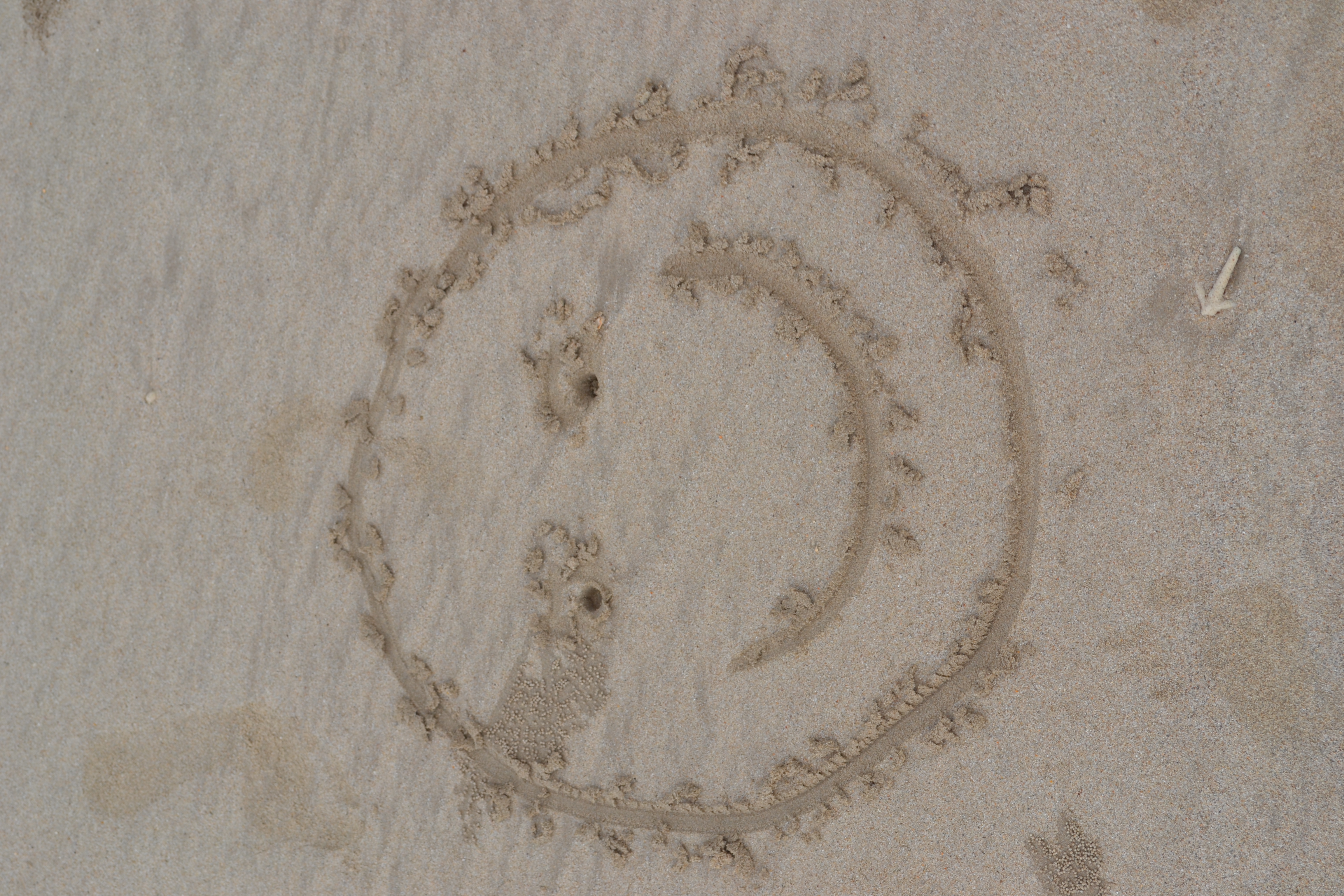 smiley in sand